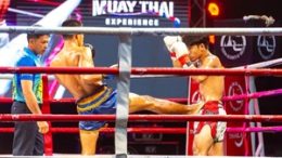 Whats on in Thailand